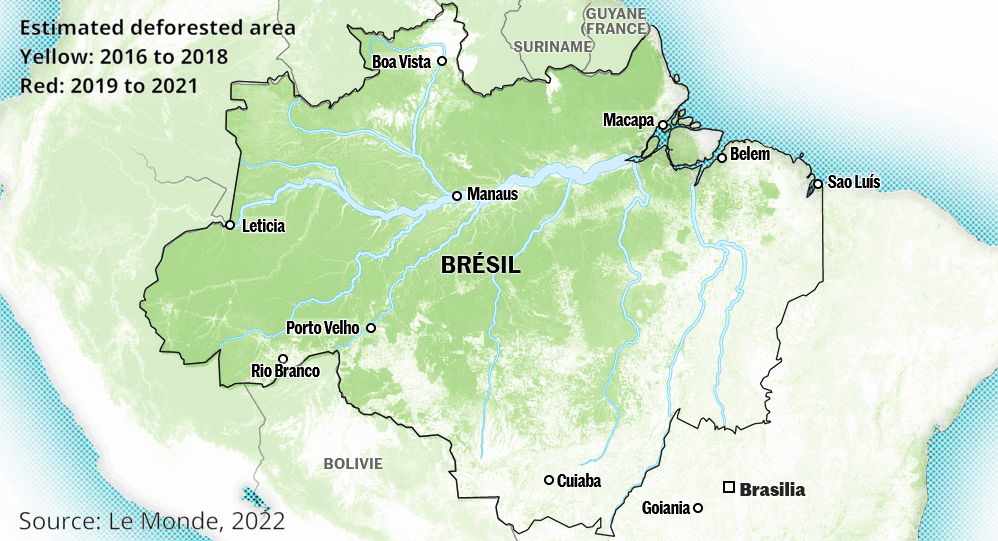 Deforestation since 2016